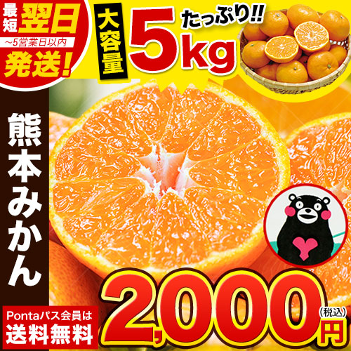 みかん様 狙われ 2点 おまとめ