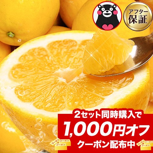 最安値に挑戦 河内晩柑 8kg 送料無料 和製 グレープフルーツ フルーツ