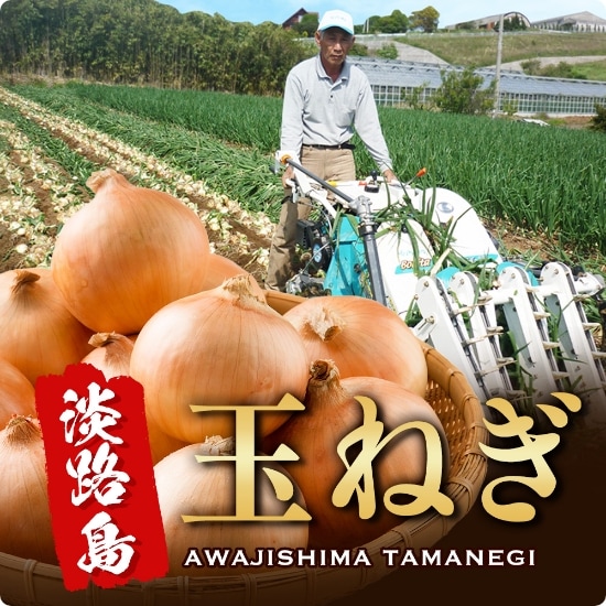 玉ねぎ