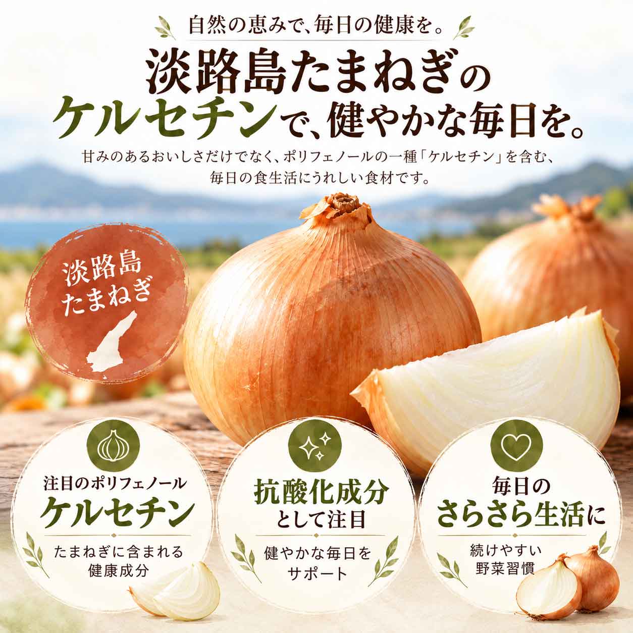 とろあまスープ 商品説明 3