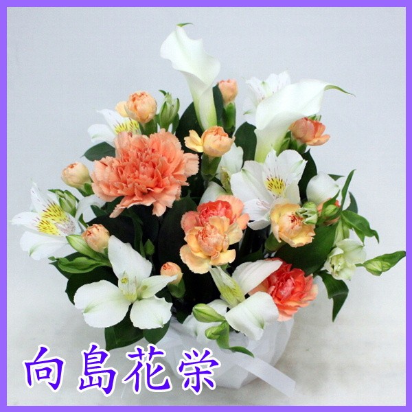 カーネーション 花束 花 の検索結果 アフィリエイトはリンクシェア