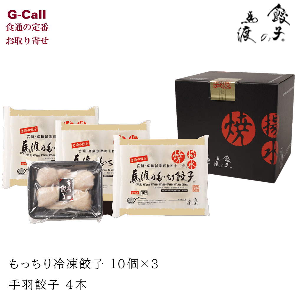 餃子の馬渡 もっちり餃子と手羽餃子セット 計4個 北海道・沖縄送料別 宮崎県 お取り寄せ ギョウザ ぎょうざ 手羽先 鶏肉 惣菜 中華 ギフ