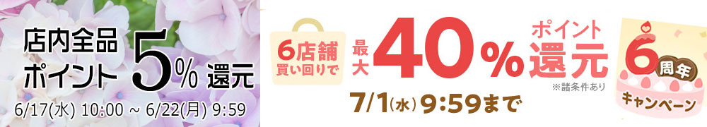 6周年キャンペーン