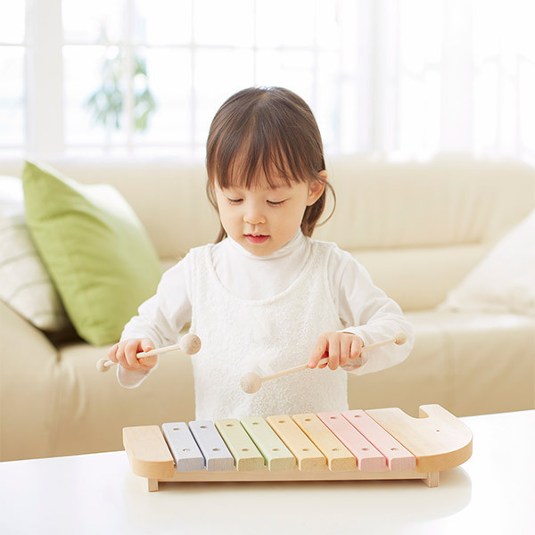  がじゅまるの樹 商品説明1