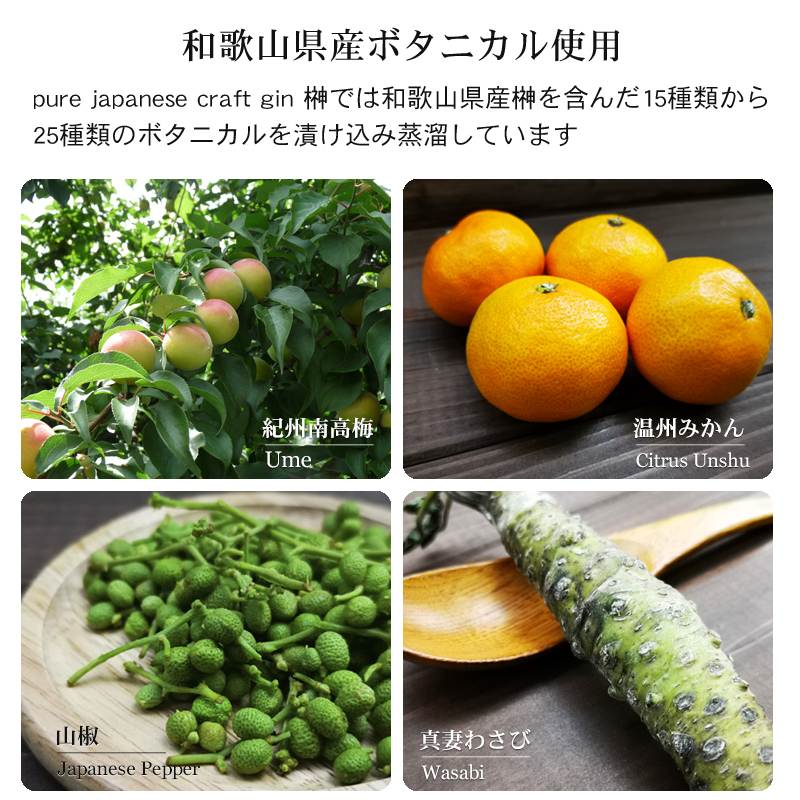 �a�̎R���Y�ʎ����{�^�j�J����