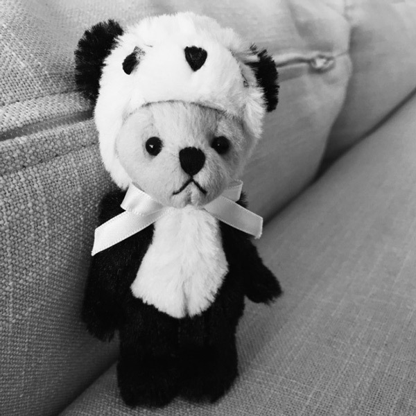 着ぐるみ 変身 キーホルダー>