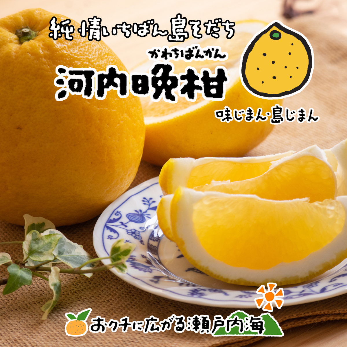 希望の島 河内晩柑 4kg 贈答用 大玉 愛媛 中島産 夏文旦 美生柑 みしょうかん 和製グレープフルーツ 宇和ゴールド 愛南ゴールド みかん