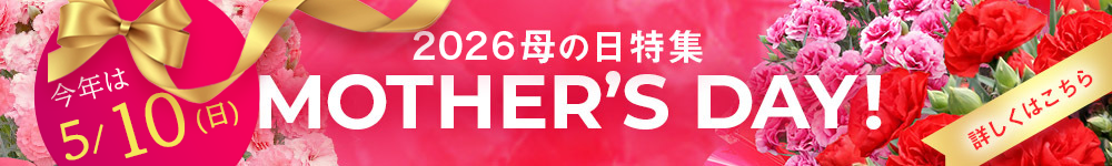 母の日