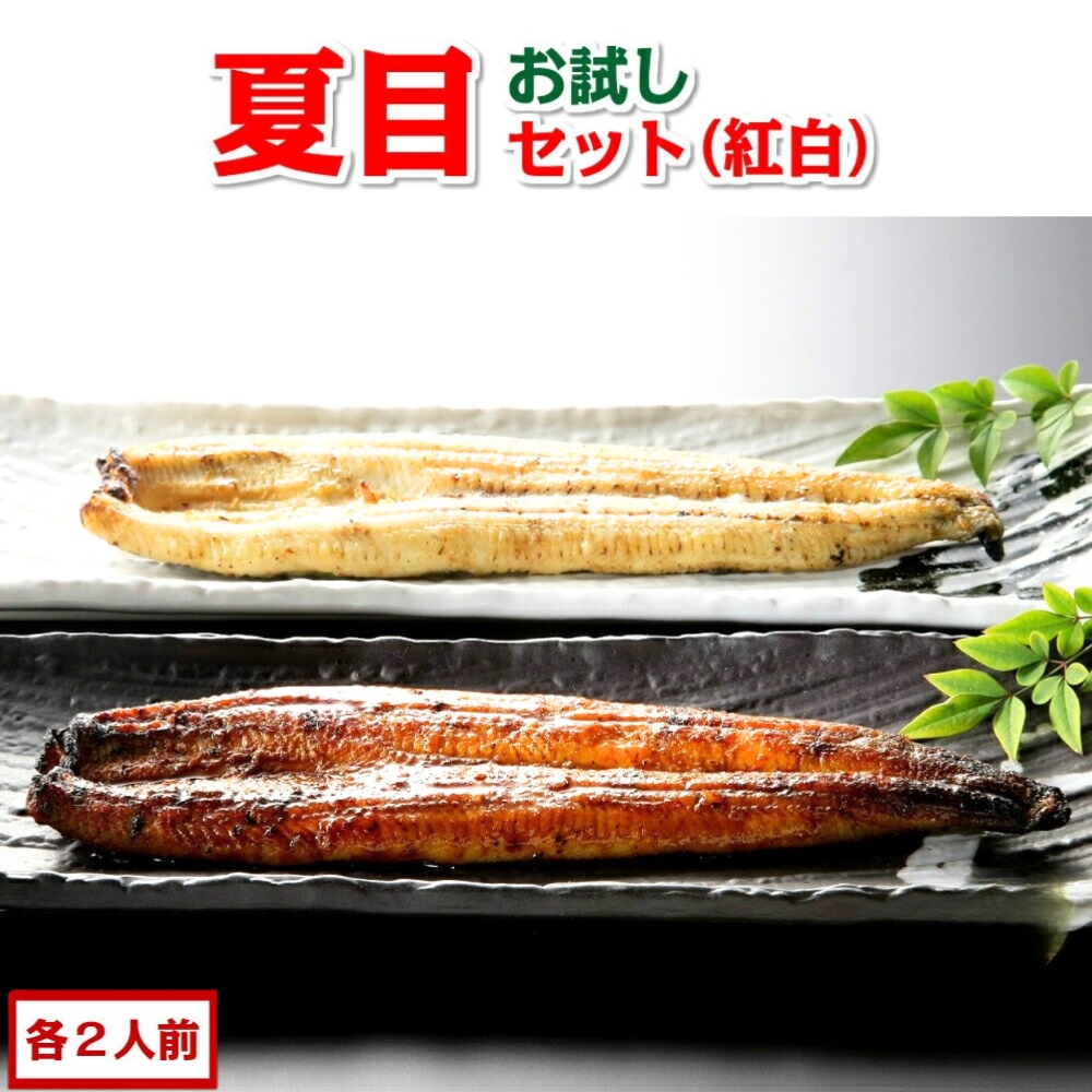�L�����Ȃ��Z�b�g �g��