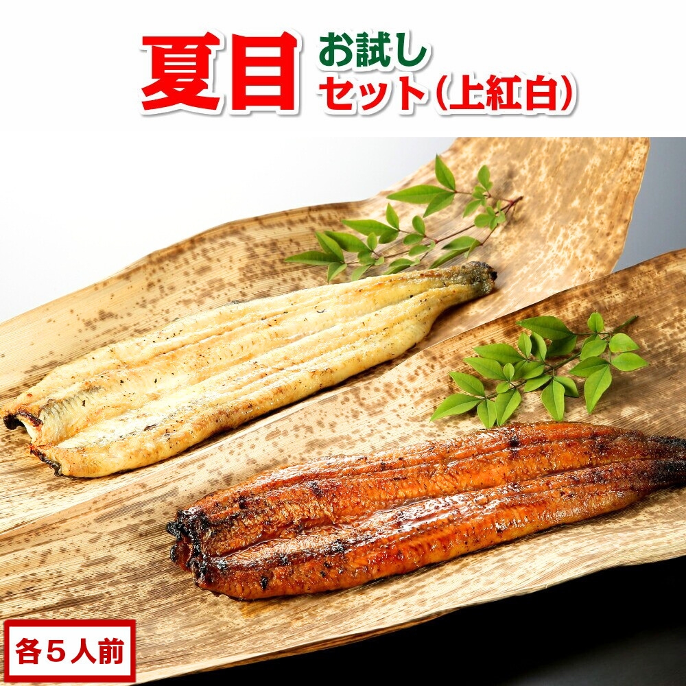 �L�����Ȃ��Z�b�g ��g��