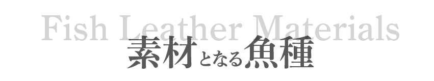 �f�ނƂȂ鋛��