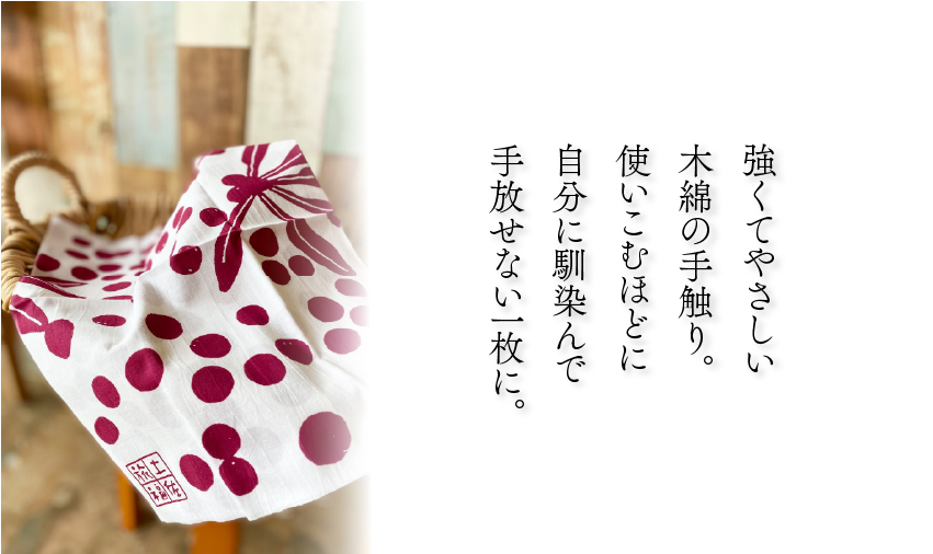 �����Ă₳����
�ؖȂ̎�G��B�g�����ނقǂɎ����ɓ����Ŏ�����Ȃ��ꖇ�ɁB