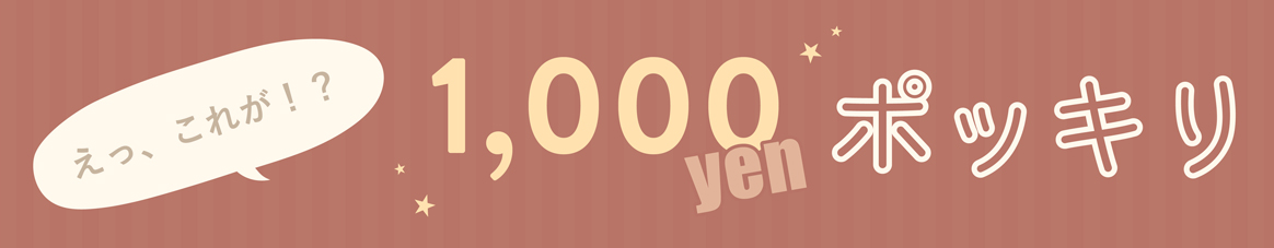 1000円ポッキリ