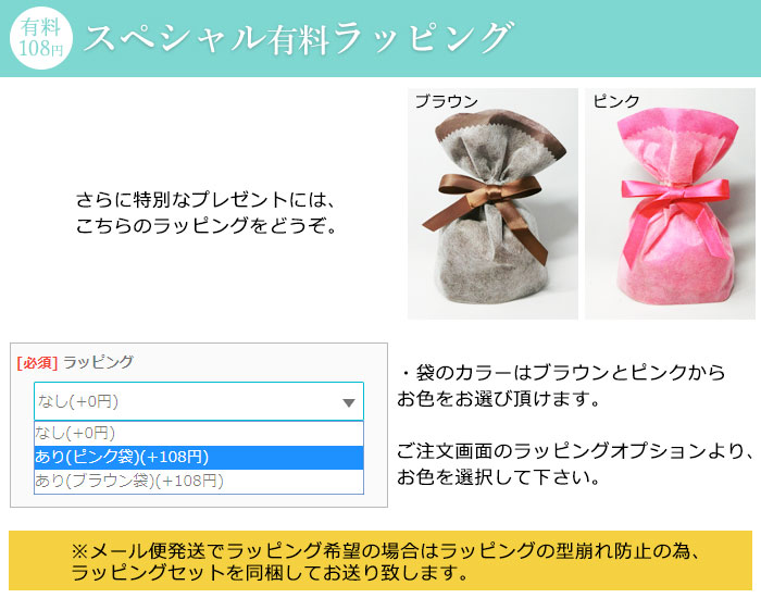 一粒 キュービックジルコニア CZ クリスタル シルバー925 スターリングシルバー ピアス