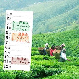 �_�[�W����