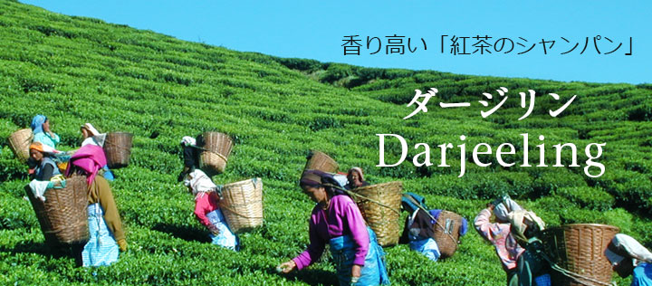 �_�[�W����