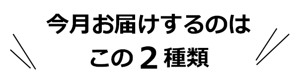 今月お届けするのはこの2種類
