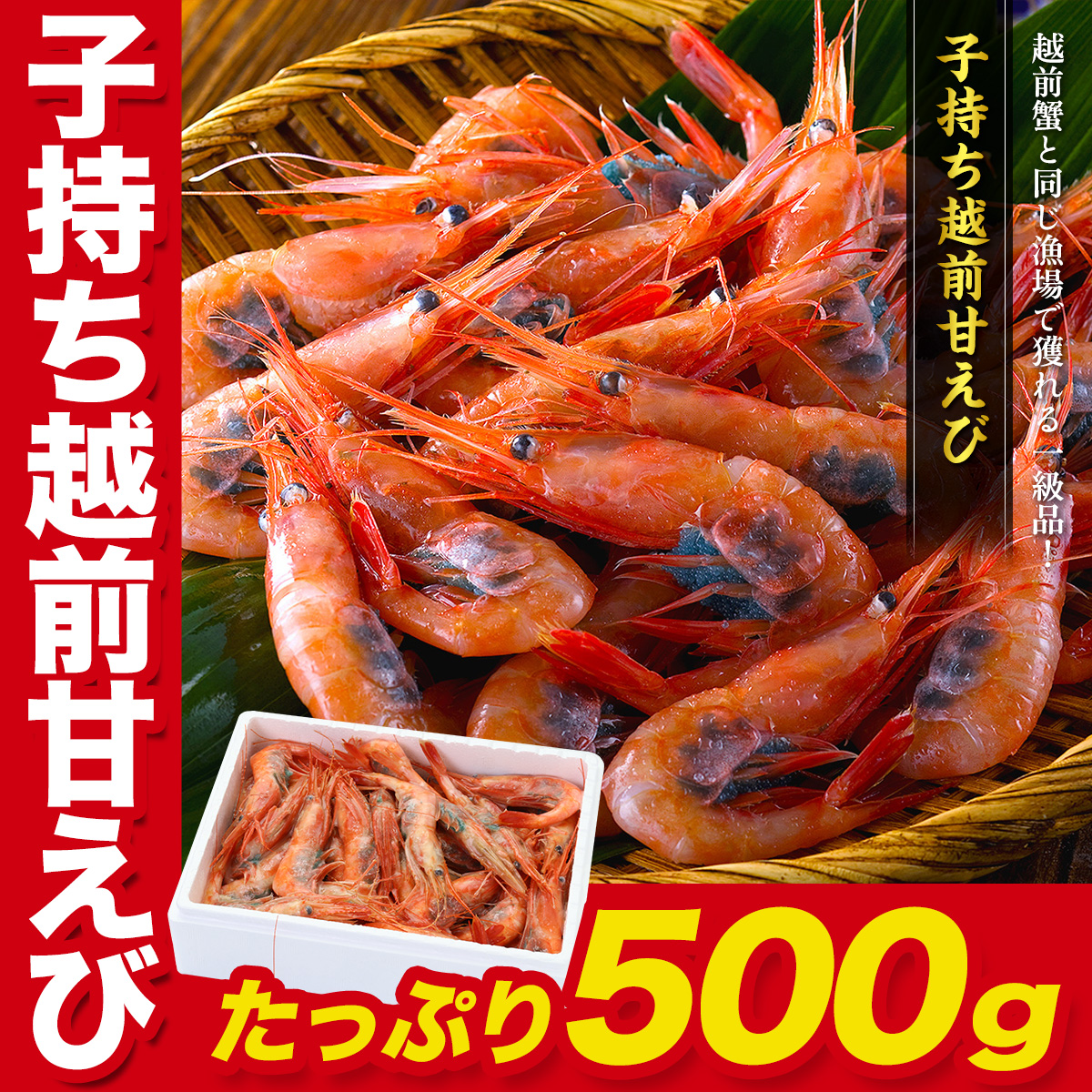 �q���� �z�O�Â���