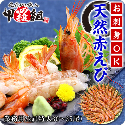 ���h�g�p �V�R�Ԃ���