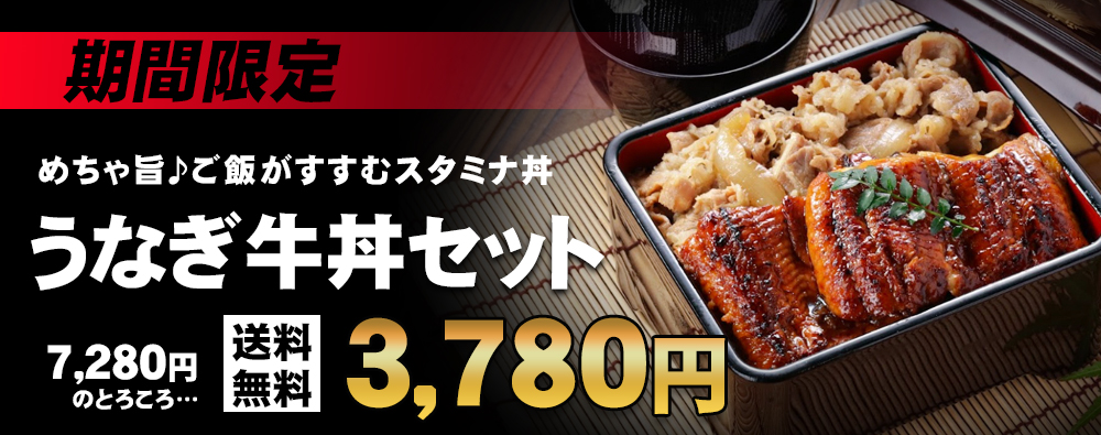 うなぎ牛丼
