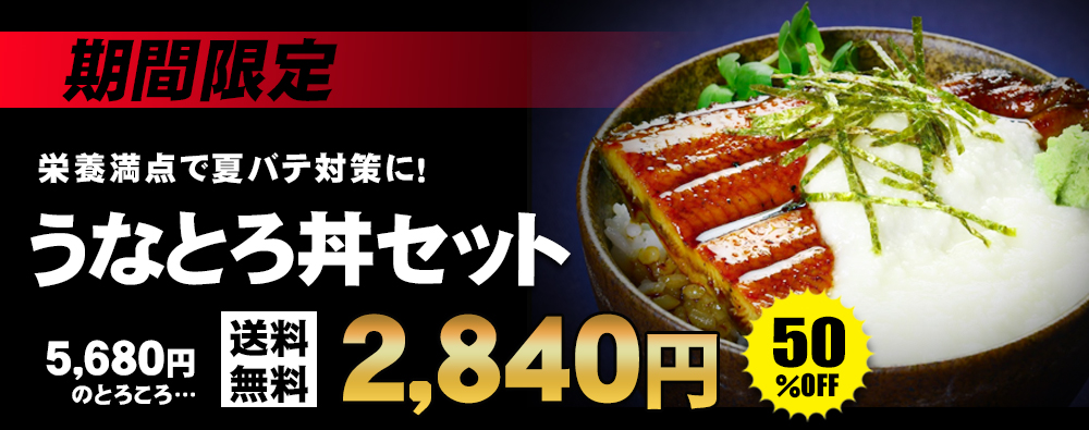 うなとろ丼