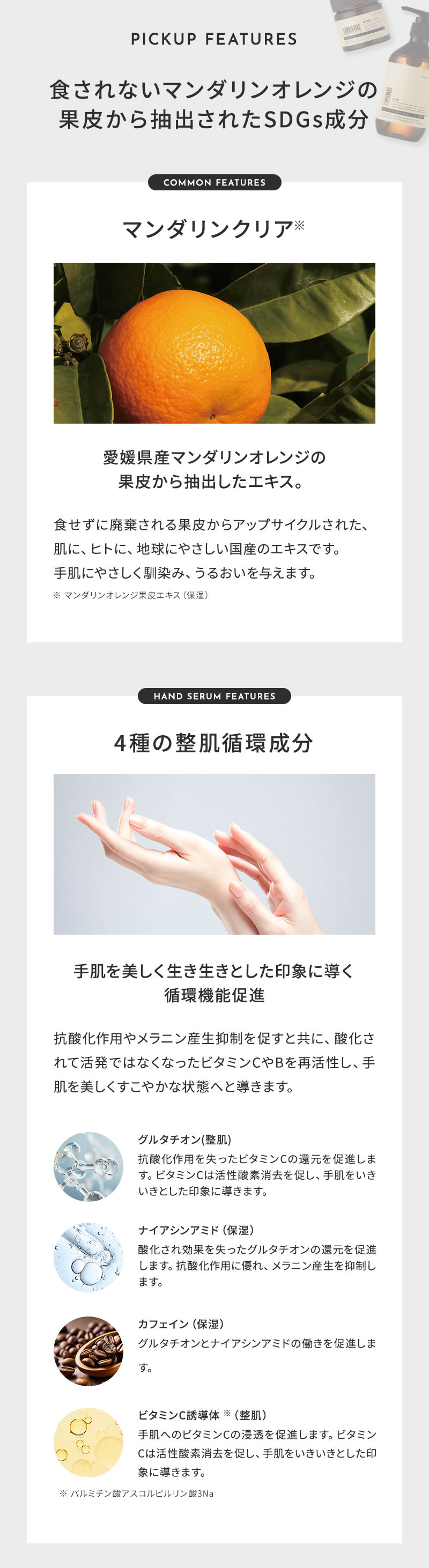 1DK �n���h�Z����