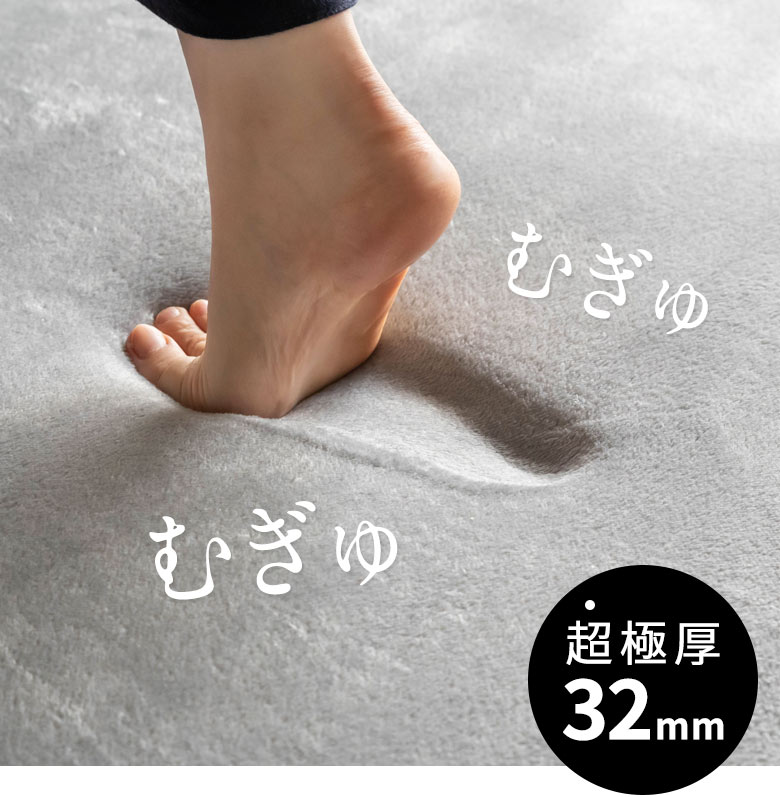 ��������e�̓��O�B�\�t�`�F�BSofche