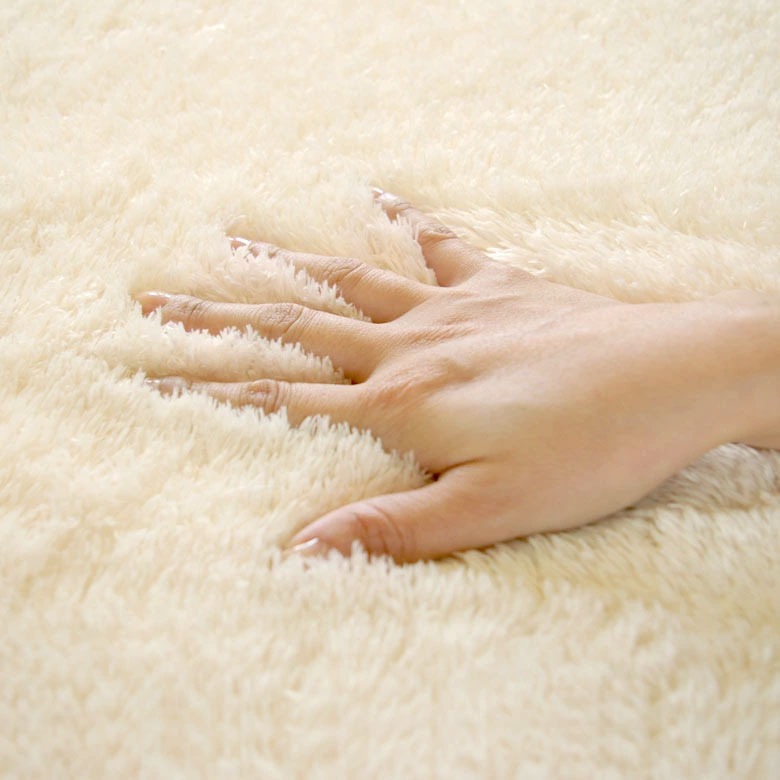 �ɏ�̂Ȃ߂炩���G��̃��O