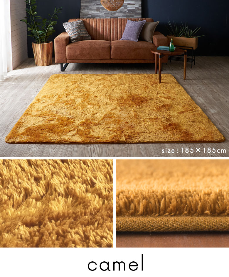 �L�������B���F�B