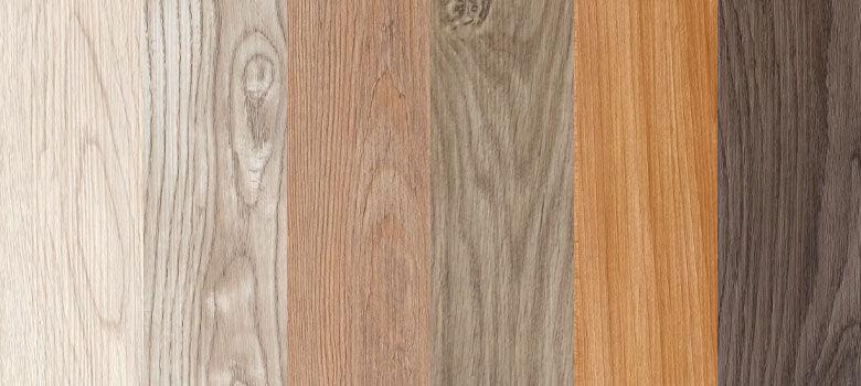 AȖؖڂ̃G{XHŁA܂œVR؂̂悤Ȏdオ