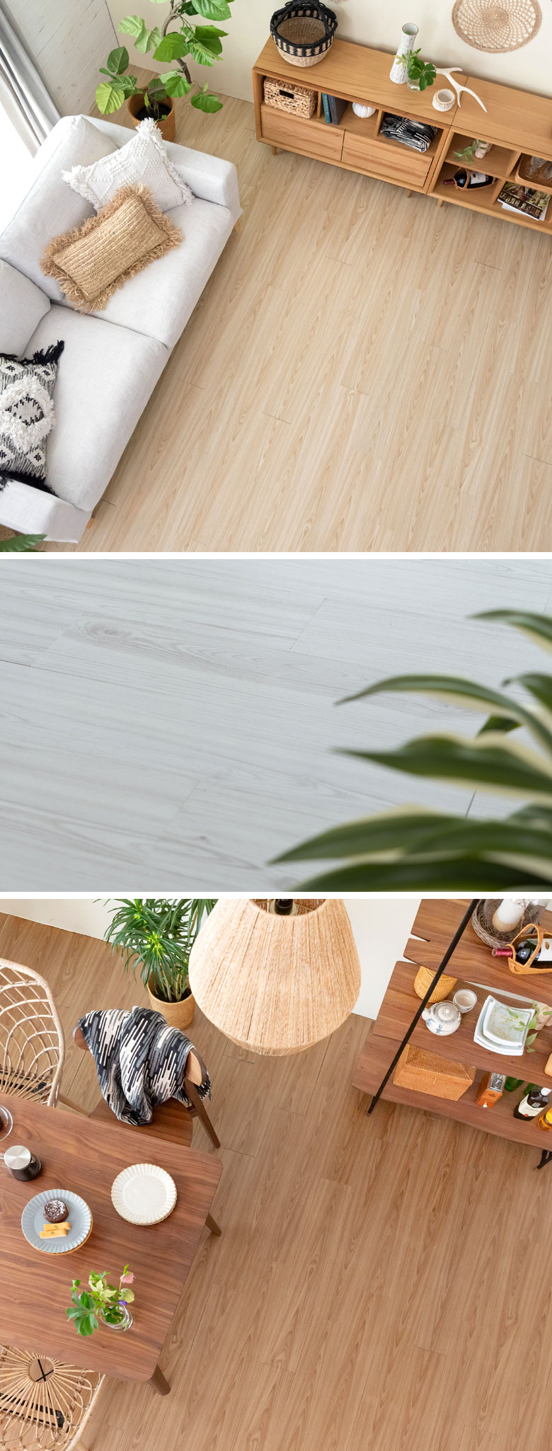 ̃jAXJ[̃oG[VfGȃtAV[g