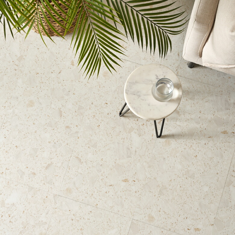 CeAƊEŐlC̐ΖڒB嗝Ε̃e][B