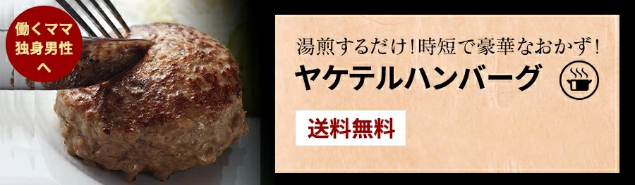 ヤケテルハンバーグ