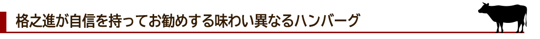 味わい異なるハンバーグ紹介