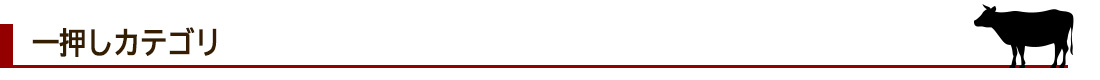 一押しカテゴリ
