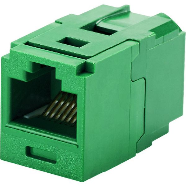 パンドウイットコーポレーション パンドウイット カテゴリ6 JJアダプタ(RJ45中継用ジャック) 緑