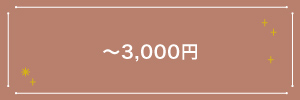 3,000�~�ȉ�