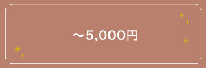 5,000�~�ȉ�