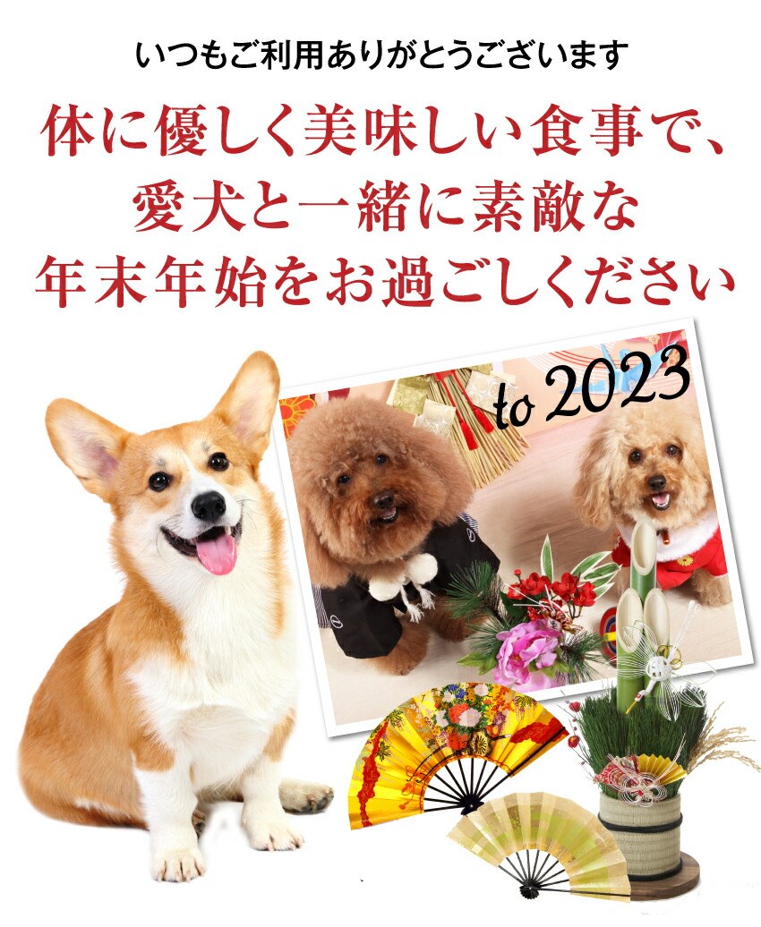 ���p�������E����������