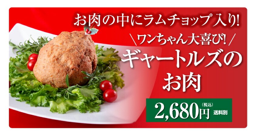 ���p�@�N���X�}�X�P�[�L
