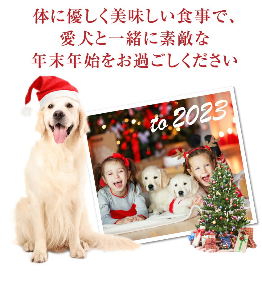 ���p�@�N���X�}�X�P�[�L