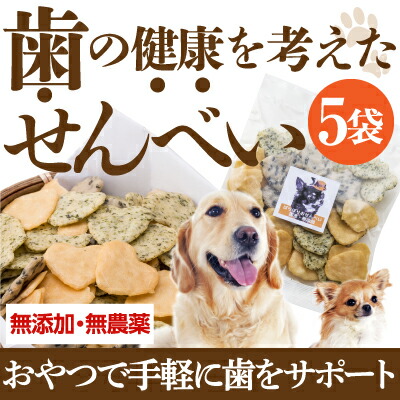 ���ɗǂ�����ׂ�