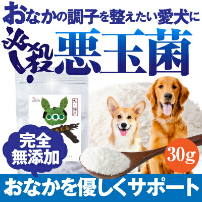 �K�E�I���ʋ�