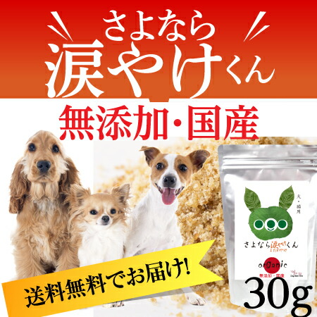 ����Ȃ�܏Ă�����