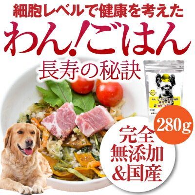 ���I���с@�����̔錍