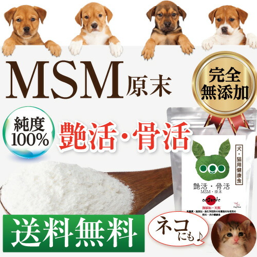 �����E����