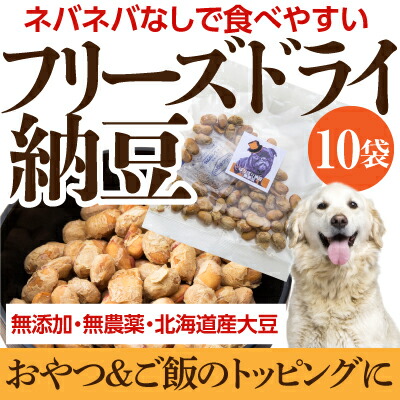 �t���[�Y�h���C�[�� 10��