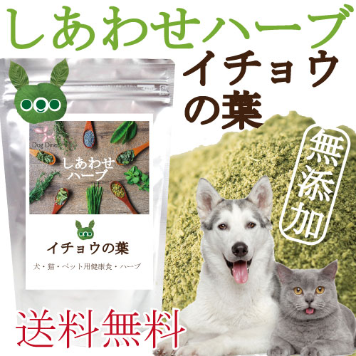 �C�`���E�̗t �s���ǁE�]�̌��N��