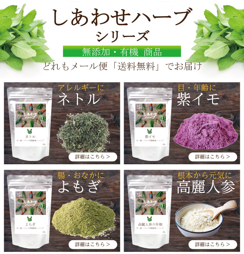 ���E�L�E���Y���E�L�@�E�n�[�u�E����l�Q �I�[�K�j�b�N �T�v��