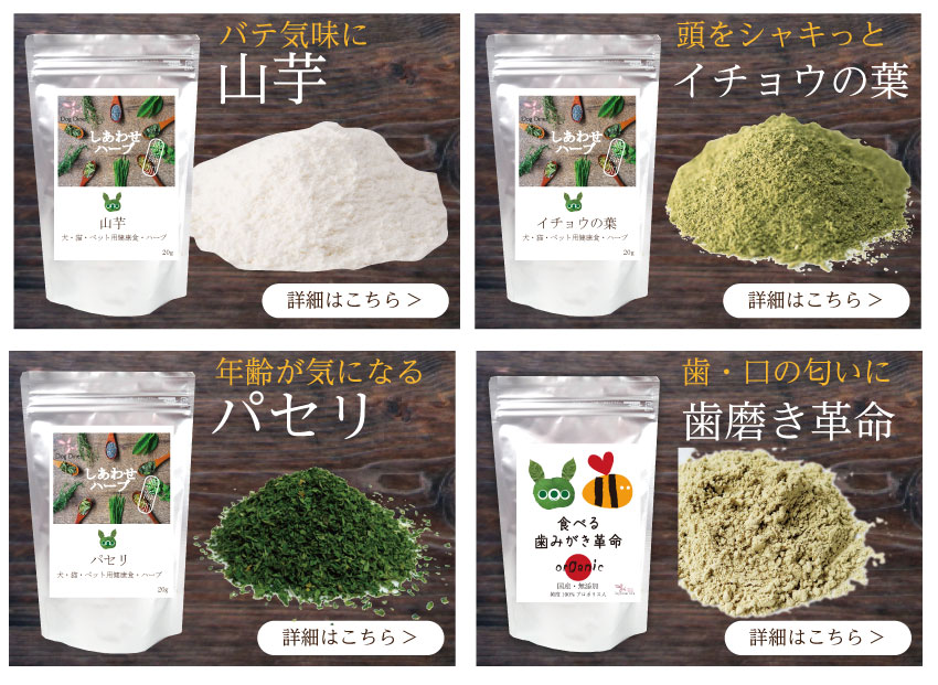 ���E�L�E���Y���E�L�@�E�n�[�u�E����l�Q �I�[�K�j�b�N �T�v��